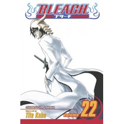 Bleach V22