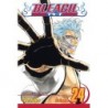 Bleach V24