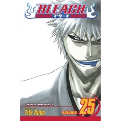 Bleach V25