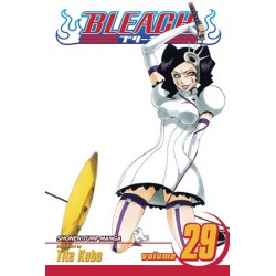 Bleach V29