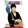 Bleach V30