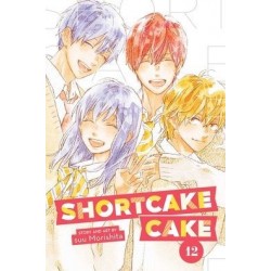 Shortcake Cake V12