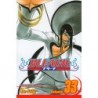 Bleach V33