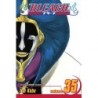 Bleach V35