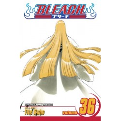 Bleach V36