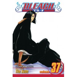 Bleach V37