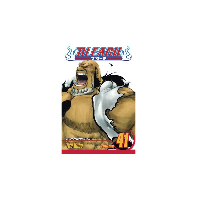 Bleach V41
