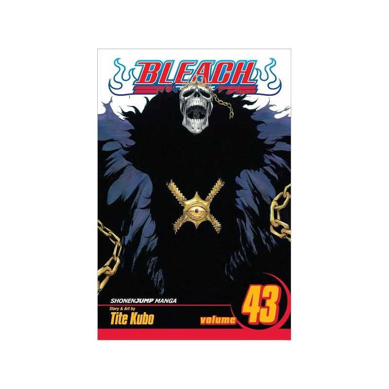 Bleach V43