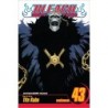 Bleach V43