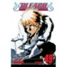 Bleach V49