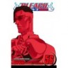 Bleach V56