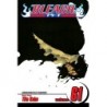 Bleach V61