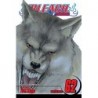 Bleach V62