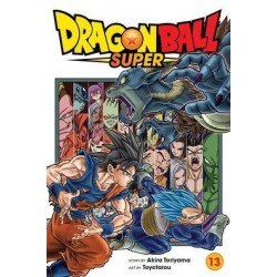 Dragon Ball Super V13