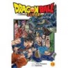 Dragon Ball Super V13