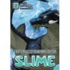 That Time I Got Reincarnated as a Slime V16