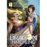 Reincarnated as a Dragon Hatchling Novel V01