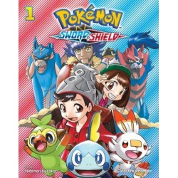 Pokemon Sword & Shield V01