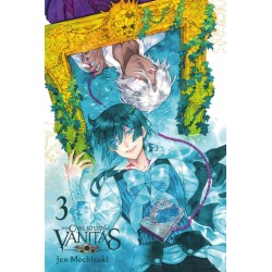 Case Study of Vanitas V03