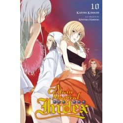 Certain Magical Index Novel V10