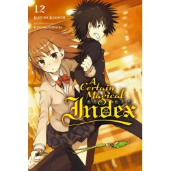 Certain Magical Index Novel V12