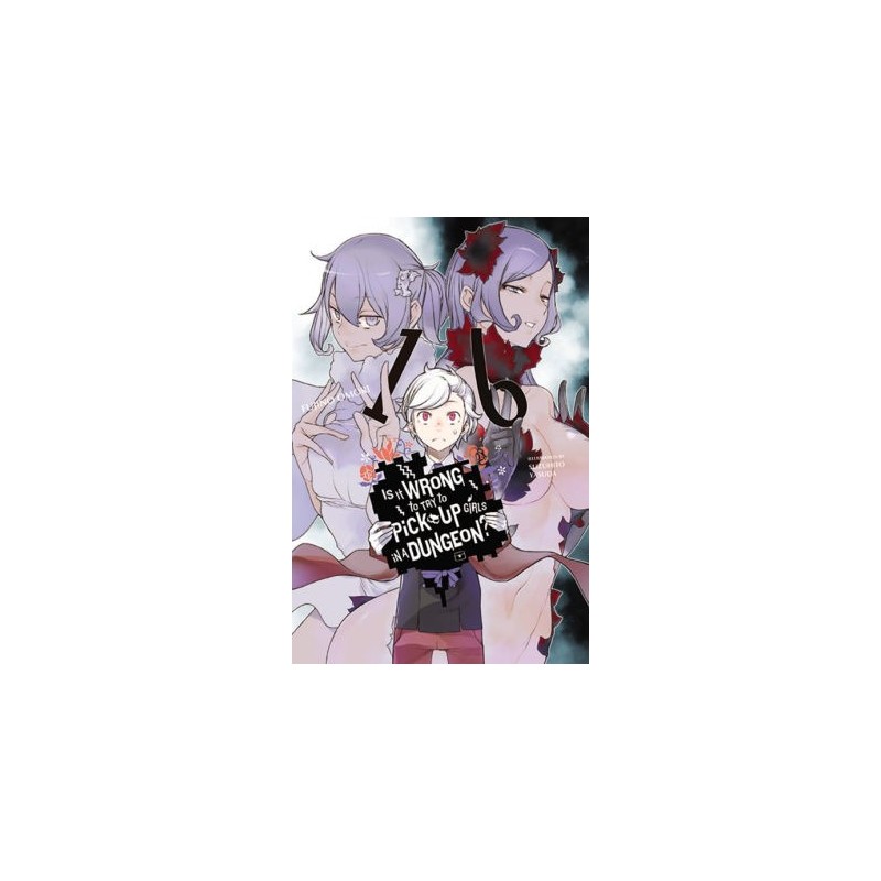 Is It Wrong to Try to Pick Up Girls in a Dungeon? Novel V16
