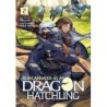 Reincarnated as a Dragon Hatchling Novel V02