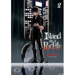 Island in a Puddle V02