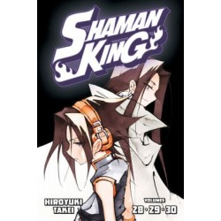 Shaman King Omnibus V10