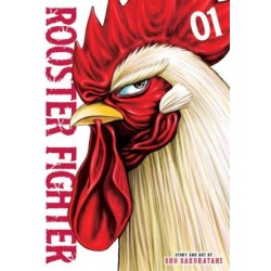 Rooster Fighter V01