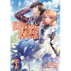 Dragon Knight's Beloved Manga V03