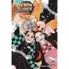 Demon Slayer Novel One-Winged Butterfly