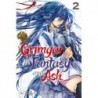 Grimgar of Fantasy & Ash Manga V02