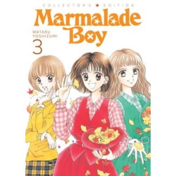 Marmalade Boy Collector's Edition V03