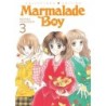 Marmalade Boy Collector's Edition V03