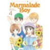 Marmalade Boy Collector's Edition V04