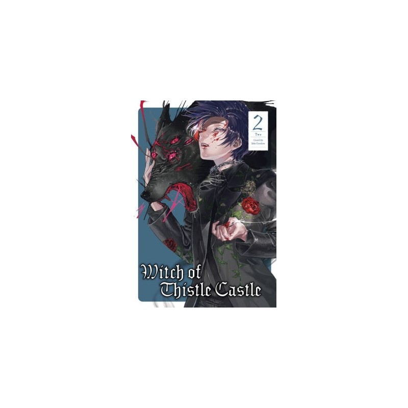 Witch of Thistle Castle V02