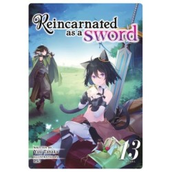 Reincarnated as a Sword Novel V13