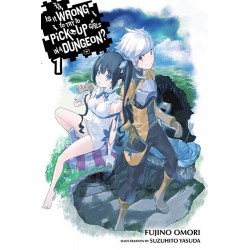 Is It Wrong to Try to Pick Up Girls in a Dungeon? Novel V01