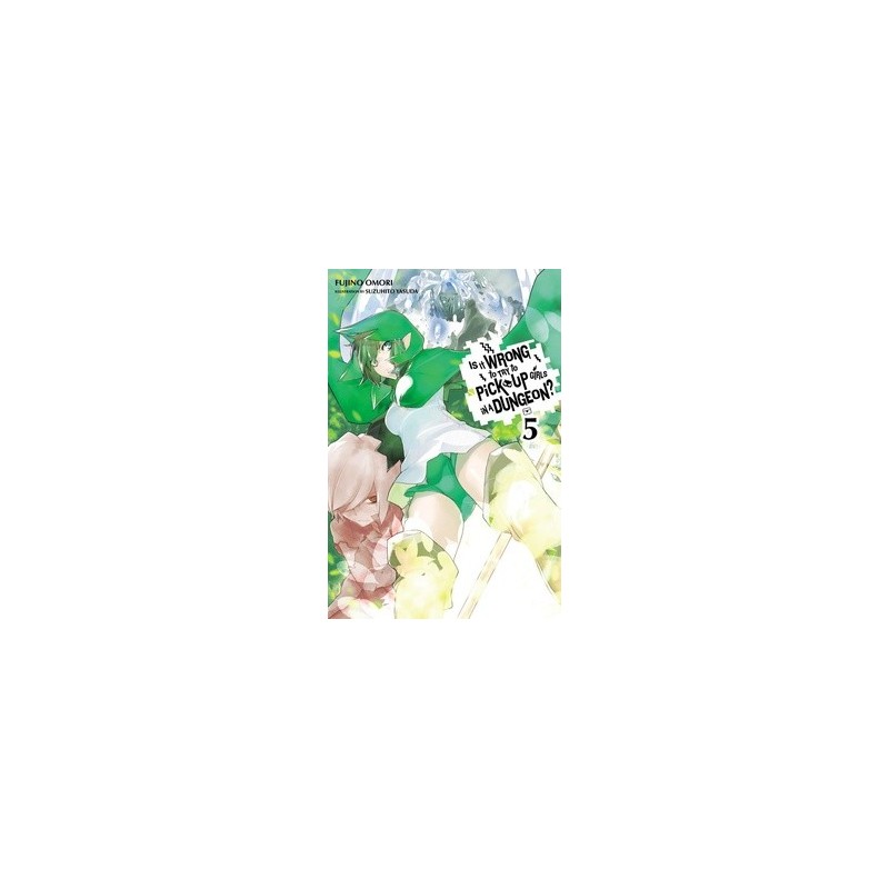 Is It Wrong to Try to Pick Up Girls in a Dungeon? Novel V05