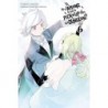 Is It Wrong to Try to Pick Up Girls in a Dungeon? Novel V06