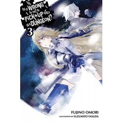 Is It Wrong to Try to Pick Up Girls in a Dungeon? Novel V03