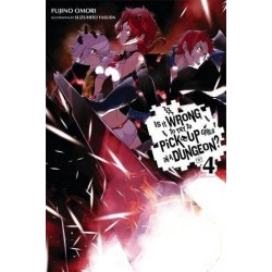 Is It Wrong to Try to Pick Up Girls in a Dungeon? Novel V04