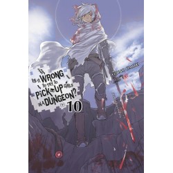 Is It Wrong to Try to Pick Up Girls in a Dungeon? Novel V10