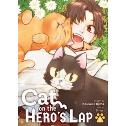 Cat on the Hero's Lap V02