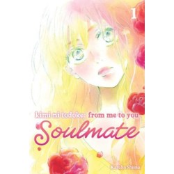 Kimi ni Todoke Soulmate V01