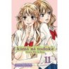 Kimi ni Todoke V11