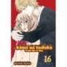 Kimi ni Todoke V16