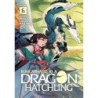 Reincarnated as a Dragon Hatchling Novel V06