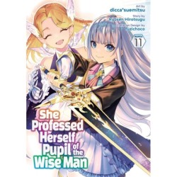She Professed Herself Pupil of the Wise Man Manga V11